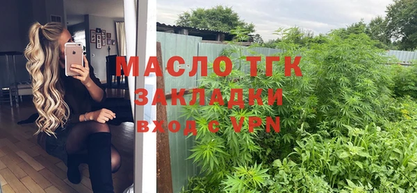 гидра Горняк