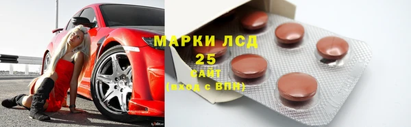 гидра Горняк