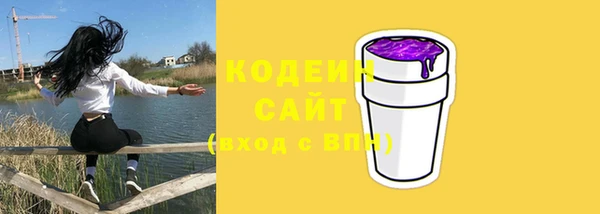 гидра Горняк