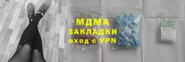 гидра Горняк