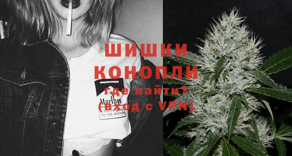гидра Горняк