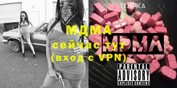 гидра Горняк