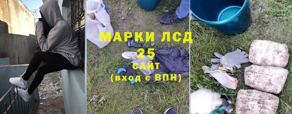 гидра Горняк